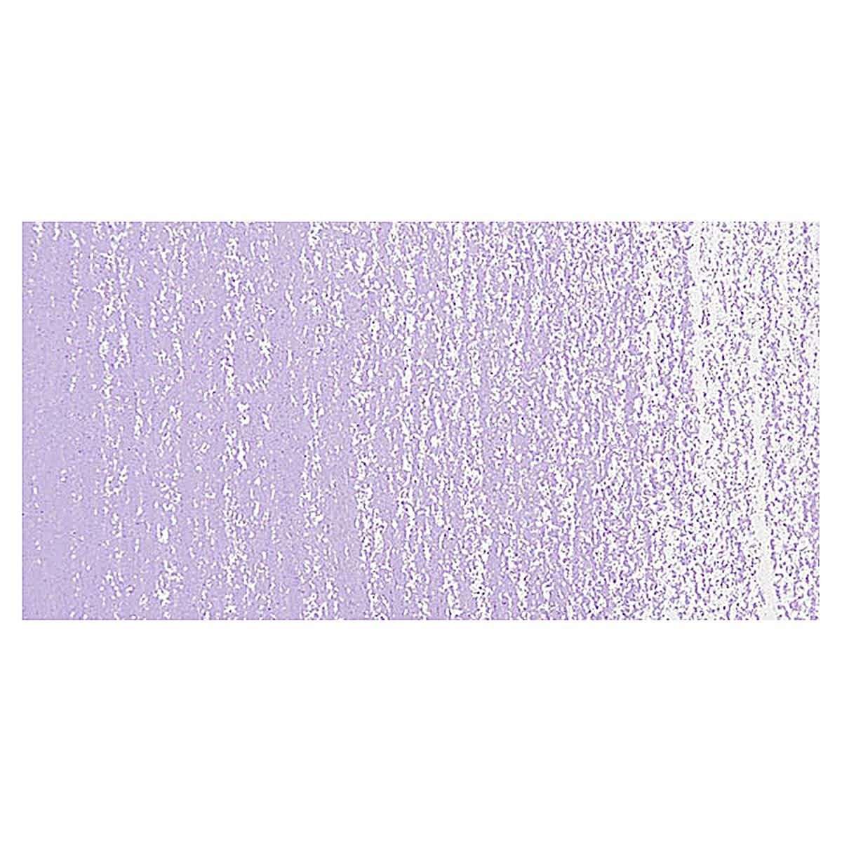 Rembrandt Soft Pastel - Blue Violet 548.8 swatch