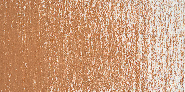Cocoa Brown