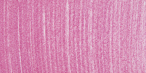 Sennelier Soft Pastel - Iridescent Violet 806 swatch