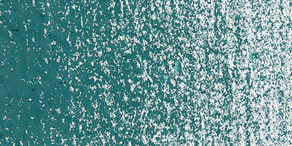 Caran d'Ache Neopastel - Dark Green swatch