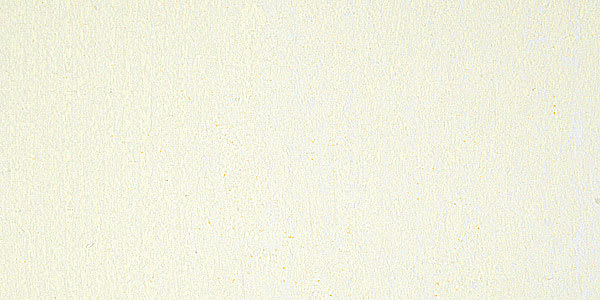 Art Spectrum Artists' Soft Pastel - Spectrum Yellow 504X swatch