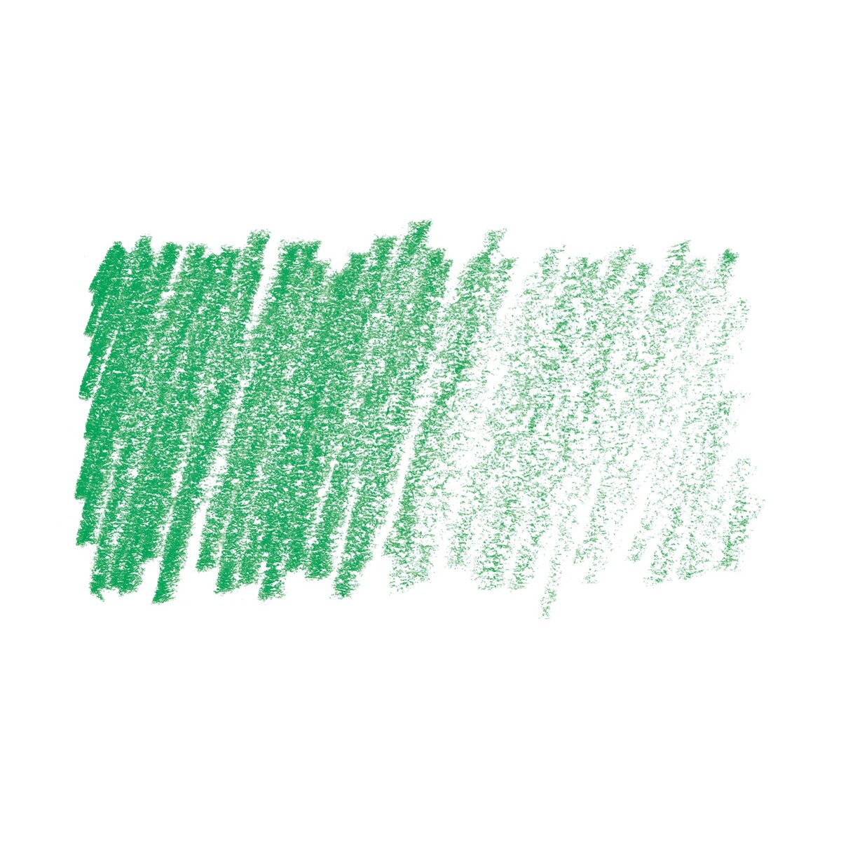 Cretacolor Fine Art Pastel Pencil - Dark Moss Green swatch