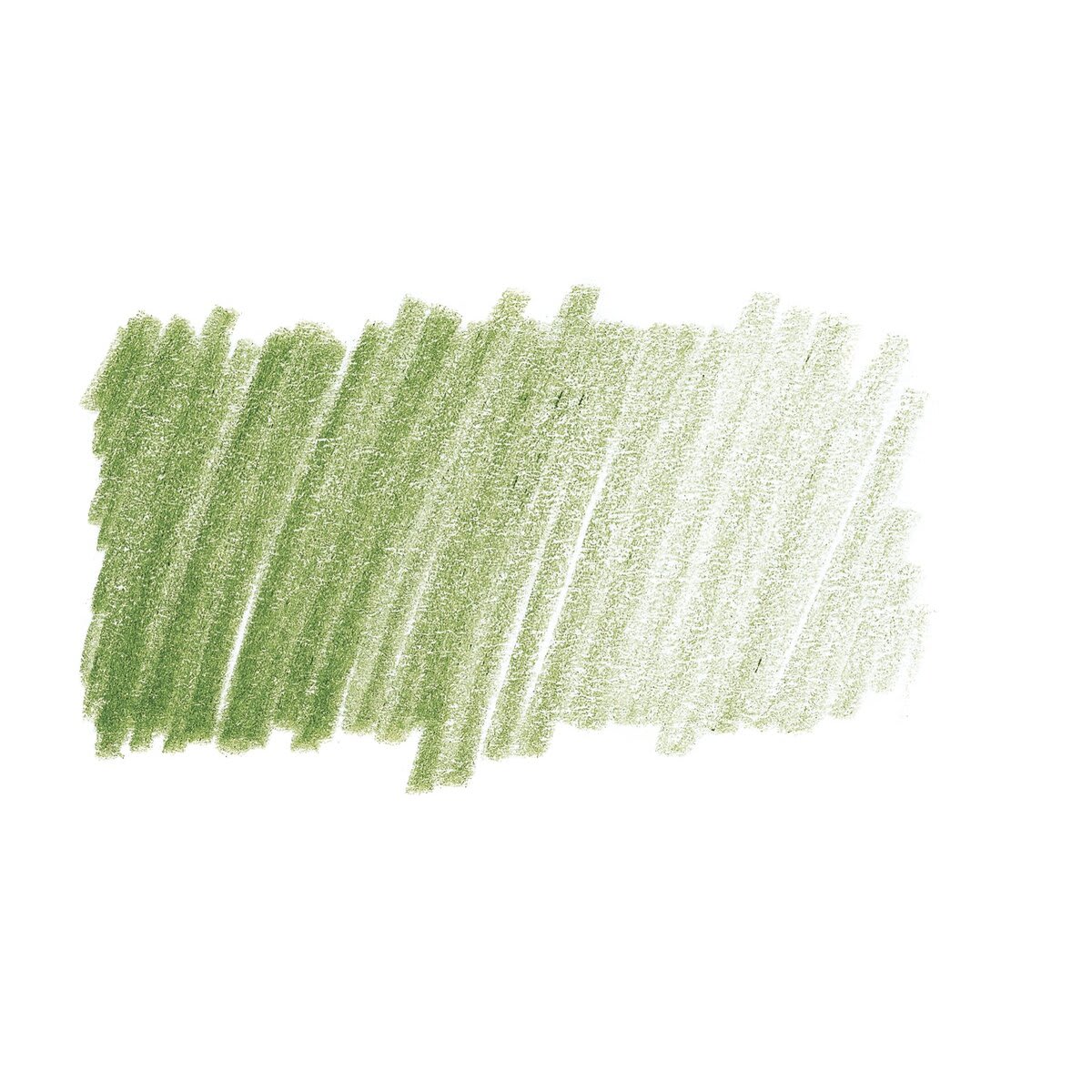 Caran d'Ache Pablo Colored Pencil - Olive  swatch