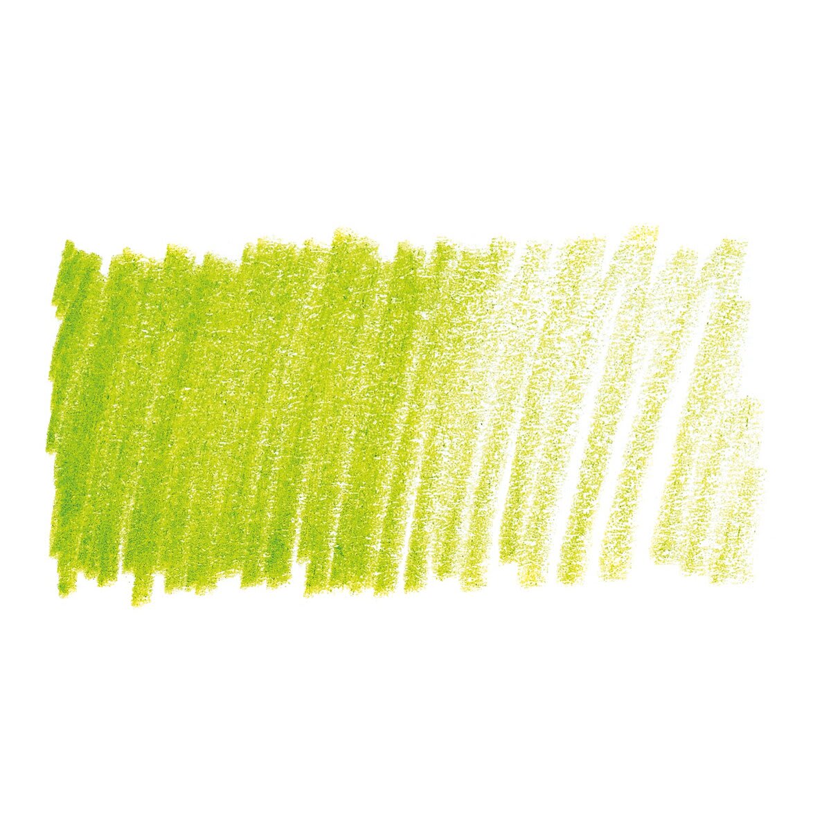 Caran d'Ache Pablo Colored Pencil - Light Olive swatch