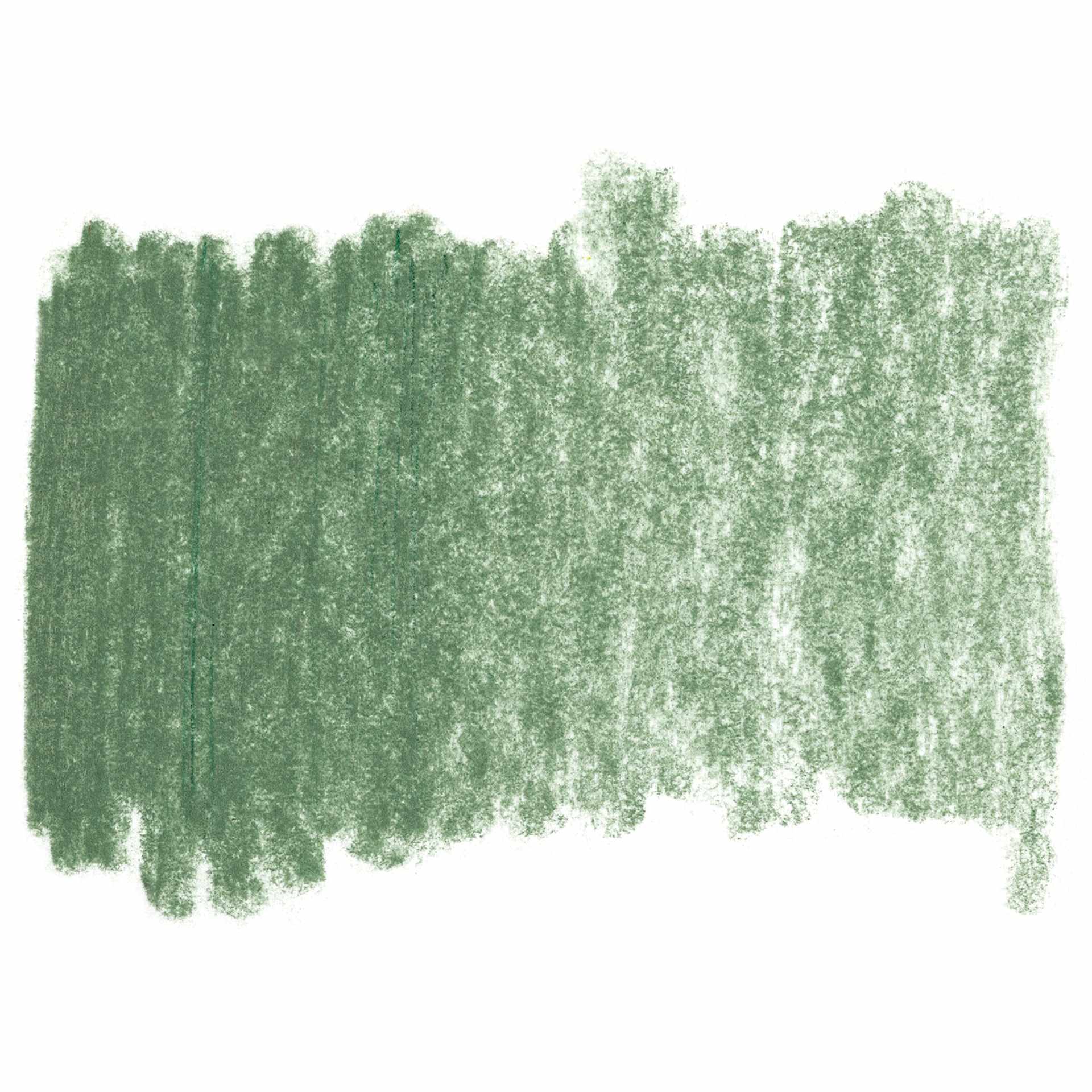 Bruynzeel Design Pastel Pencil - Sap Green 96 swatch