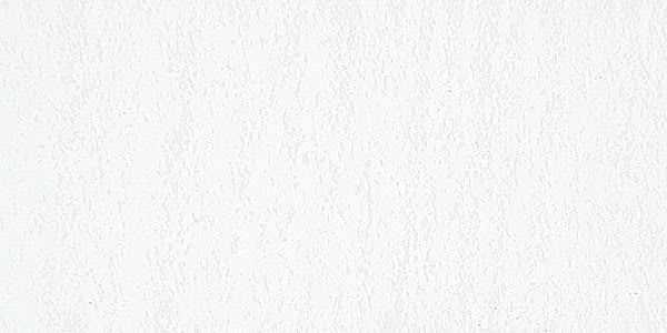 Caran d'Ache Neocolor I Wax Pastel - Titanium White 802 swatch
