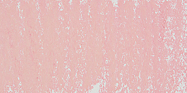 Great American Art Works Pastel - SOM Viviane 4 swatch