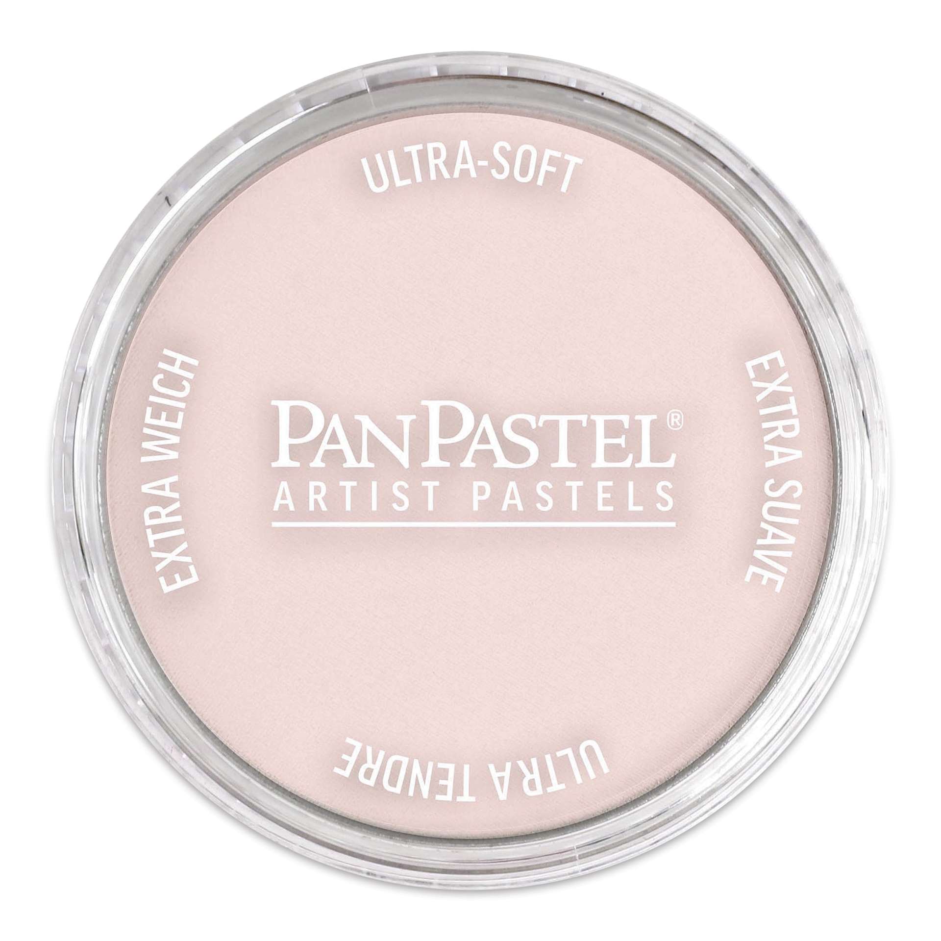 PanPastel Artist Painting Pastel - Vermilion Tint, 310.8