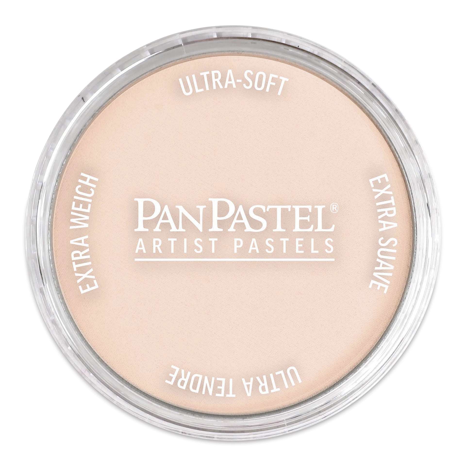 PanPastel Artists’ Painting Pastel - Red Iron Oxide Tint, 380.8