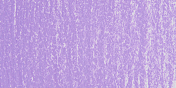 Holbein Artists' Soft Pastel - Violet 3 swatch