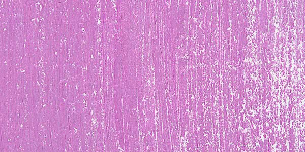 PansyViolet3