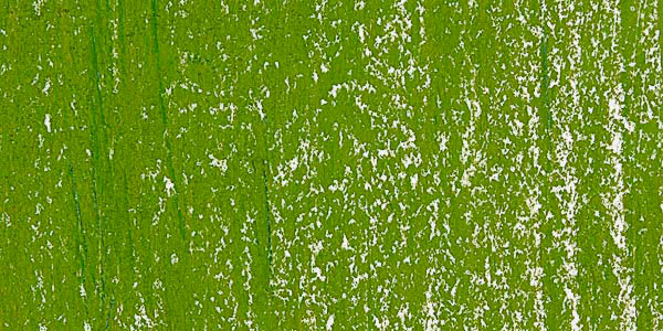 Blick Artists' Soft Pastel - Sap Green 4 swatch