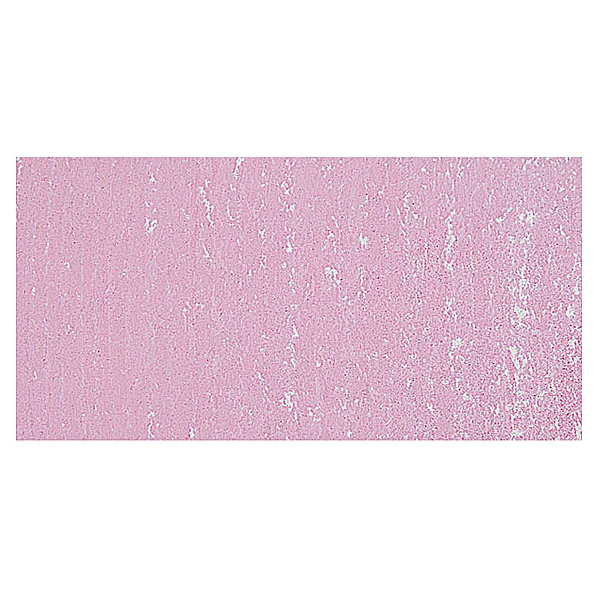 Mount Vision Soft Pastel - Dusty Rose 241 swatch