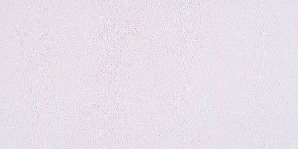 Mount Vision Soft Pastel - Dusty Rose 244 swatch