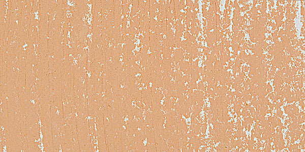 Mount Vision Soft Pastel - Earth Orange 313 swatch
