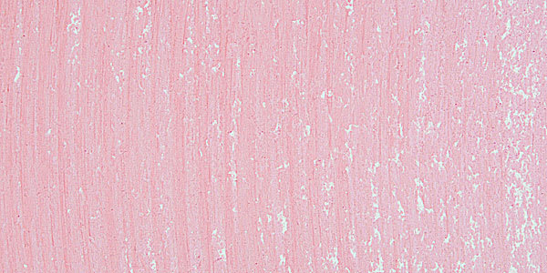 Mount Vision Soft Pastel - Quinacridone Red 413 swatch