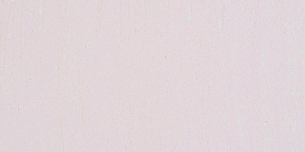 Mount Vision Soft Pastel - Rose Violet 24 swatch