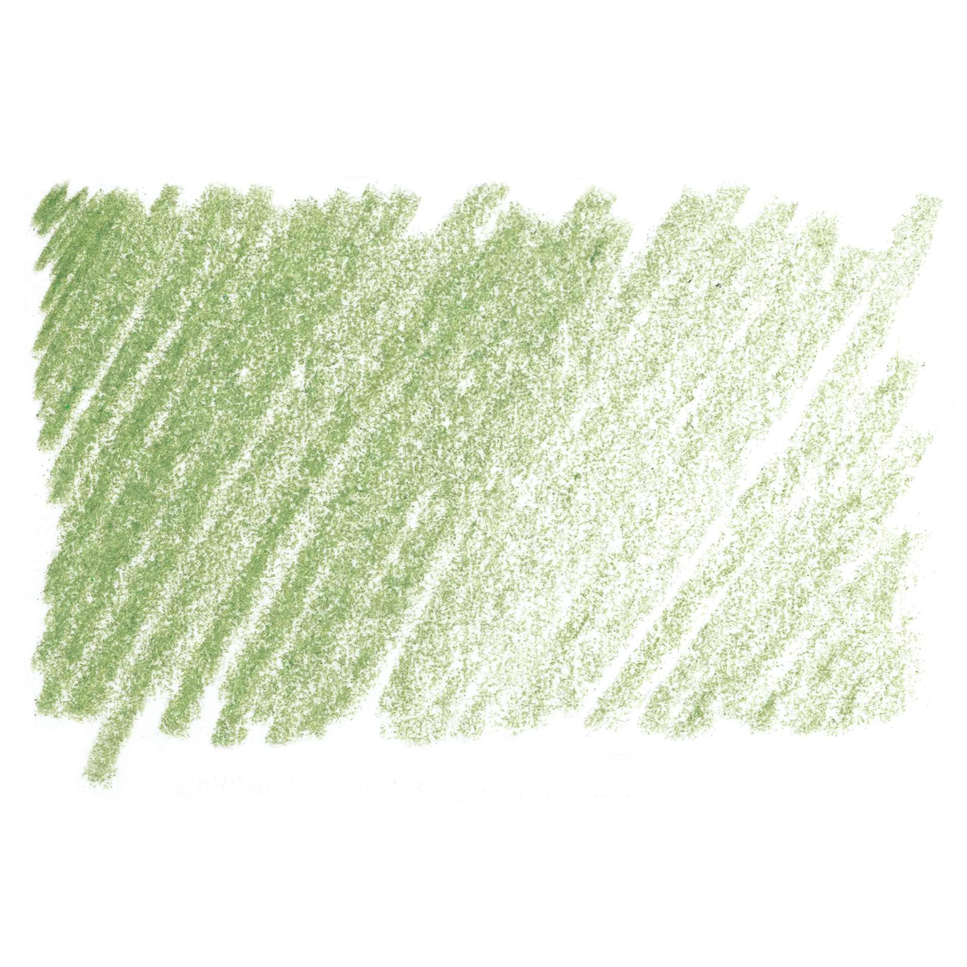 Koh-I-Noor Polycolor Dry Color Drawing Pencil - Olive Green Light 63, swatch