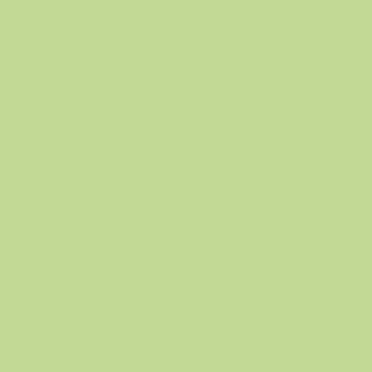 Color-Giants Colored Pencils Luminous Green - MTO