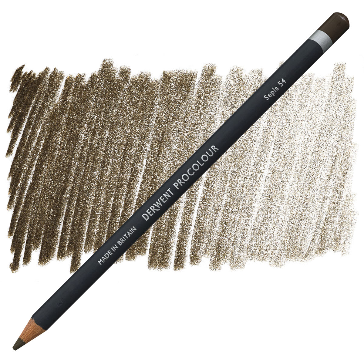 Derwent ProColour Colored Pencil - Sepia pencil and swatch