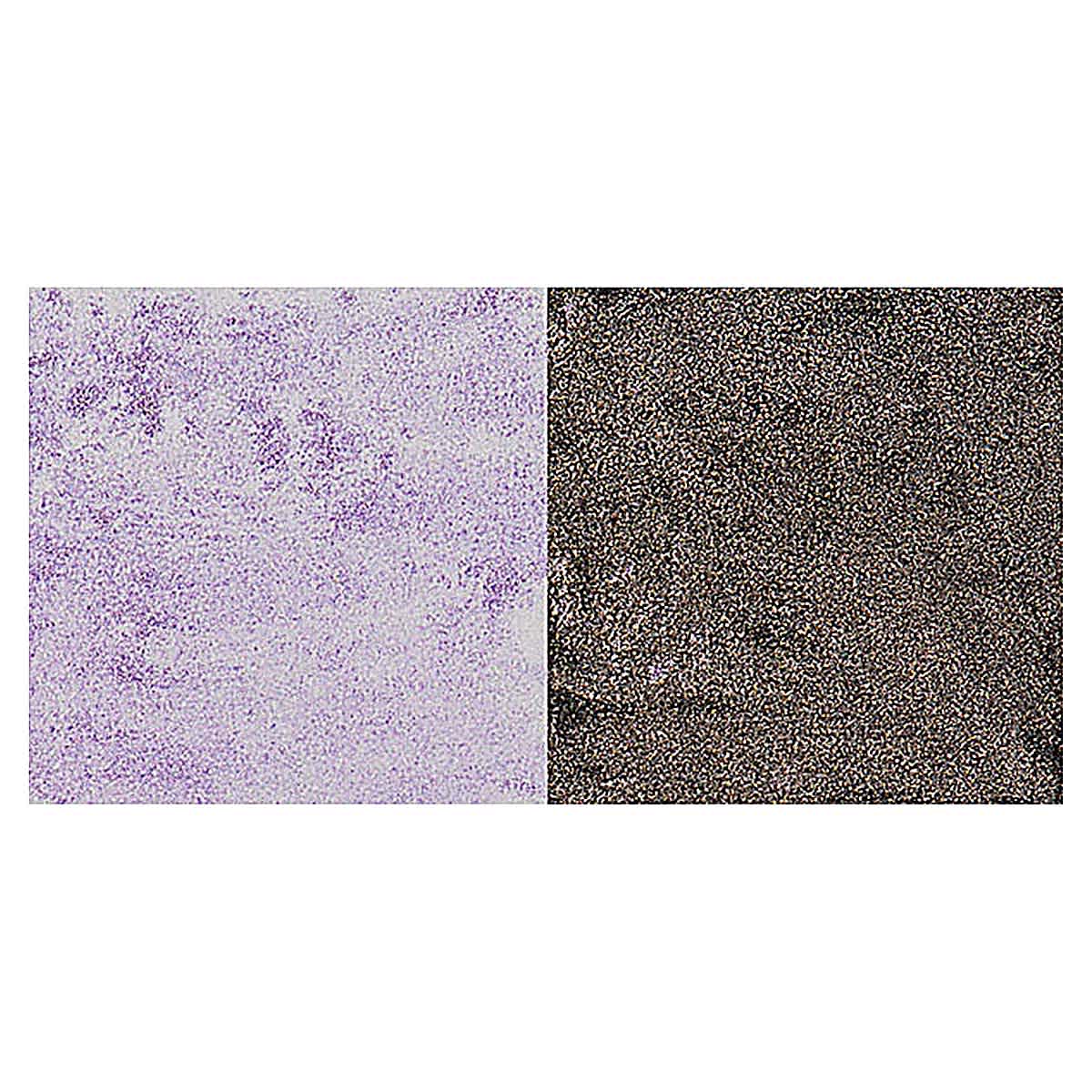 Jacquard Pearl-Ex Pigment - Duo Violet-Brass swatch