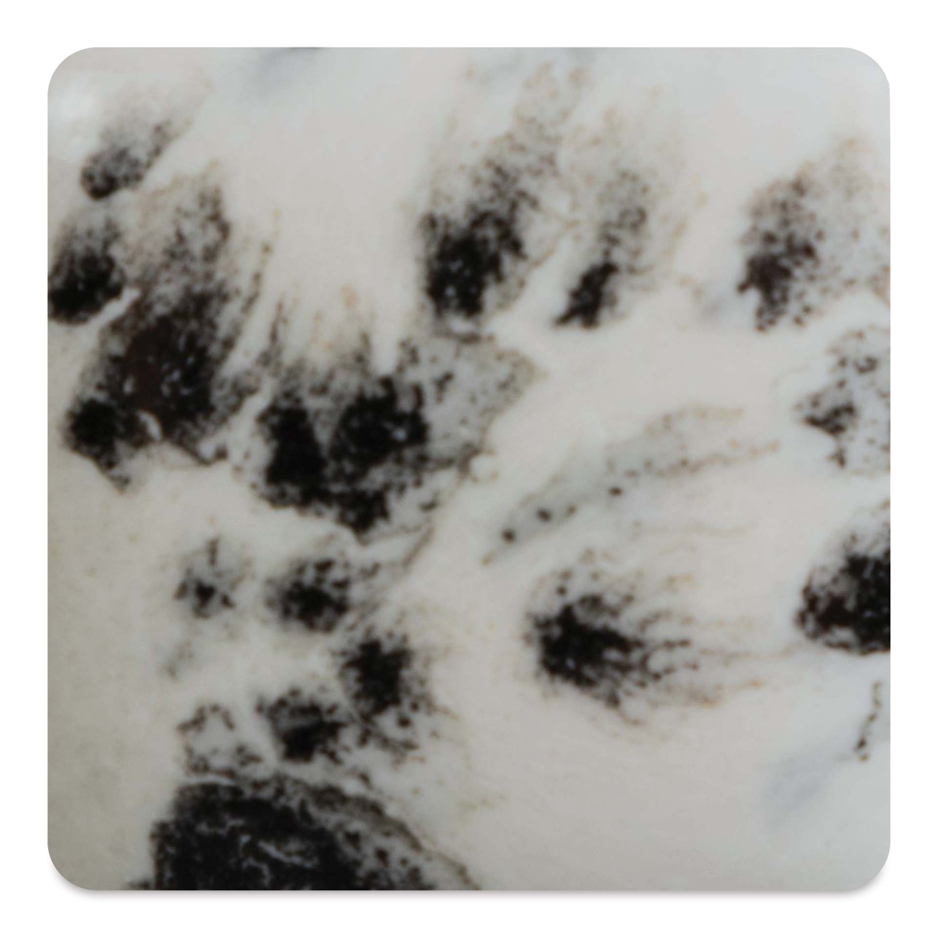 Mayco Jungle Gems Crystal Glaze - Ink Spots, Cone 6 oxidation