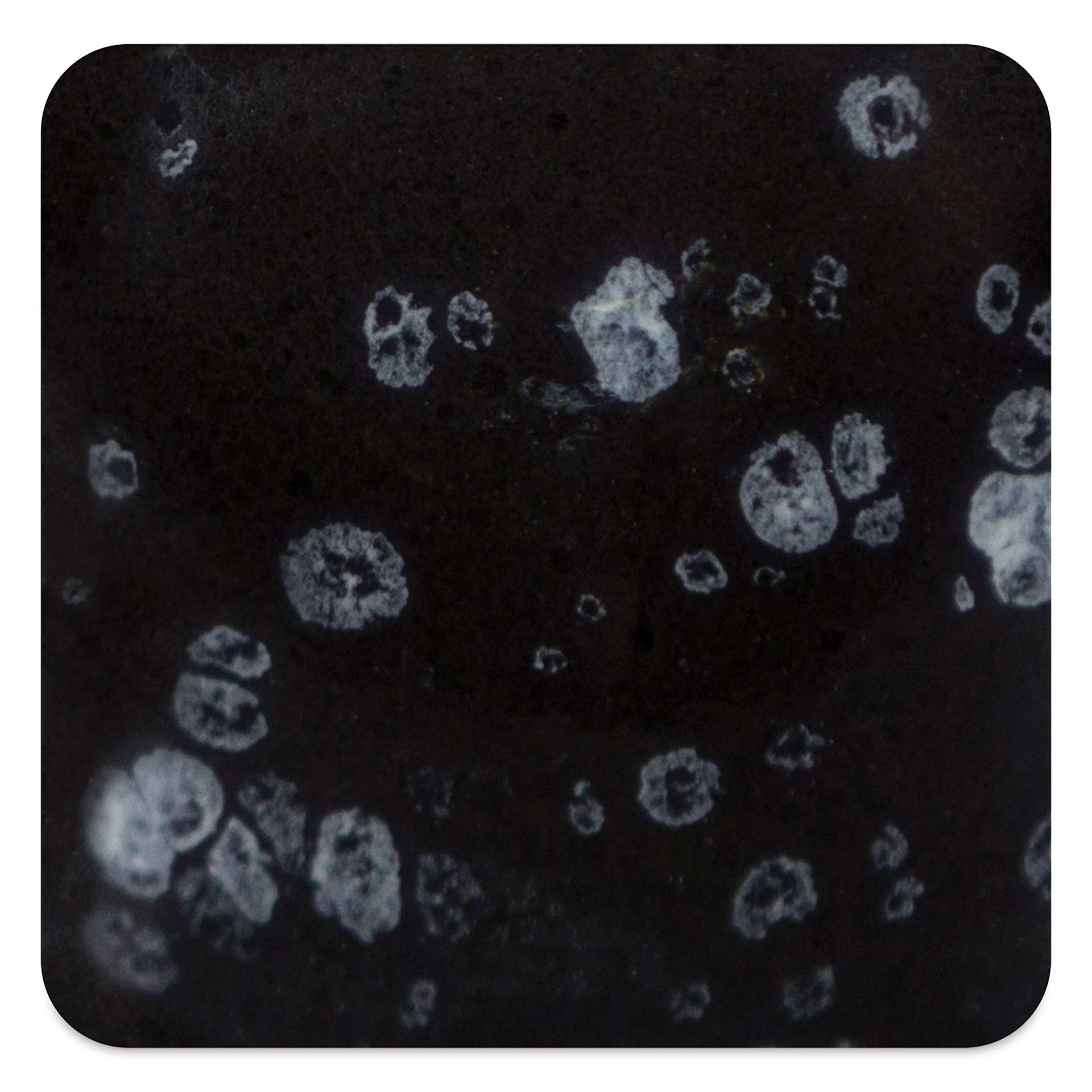 Mayco Speckled Stroke & Coat Glaze - Speckled Tuxedo, fired at cone 10 reduction