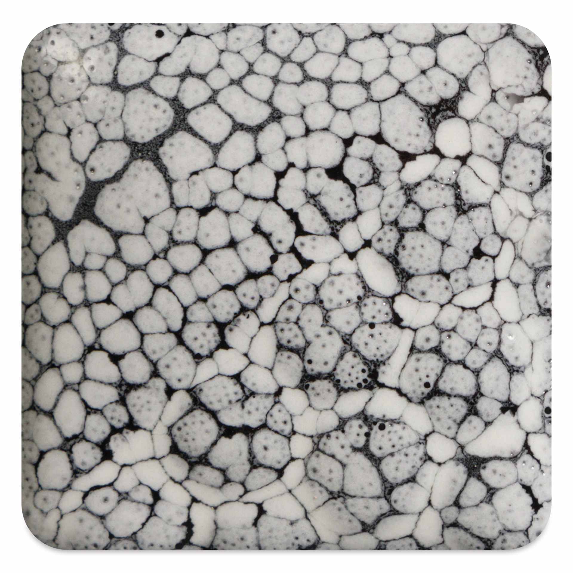 Mayco Cobblestone Glaze - White fired to cone 6 oxidation
