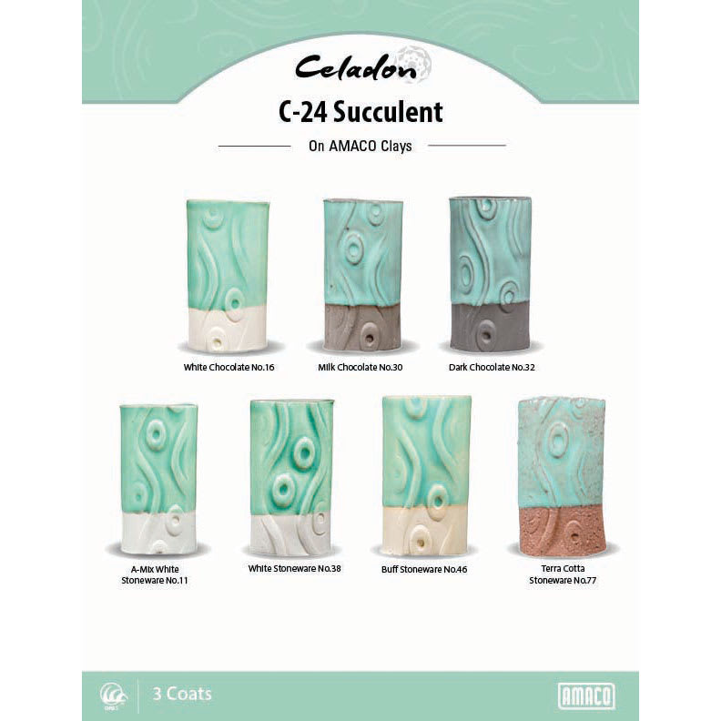 Amaco Celadon Glazes - Succulent clay comparison