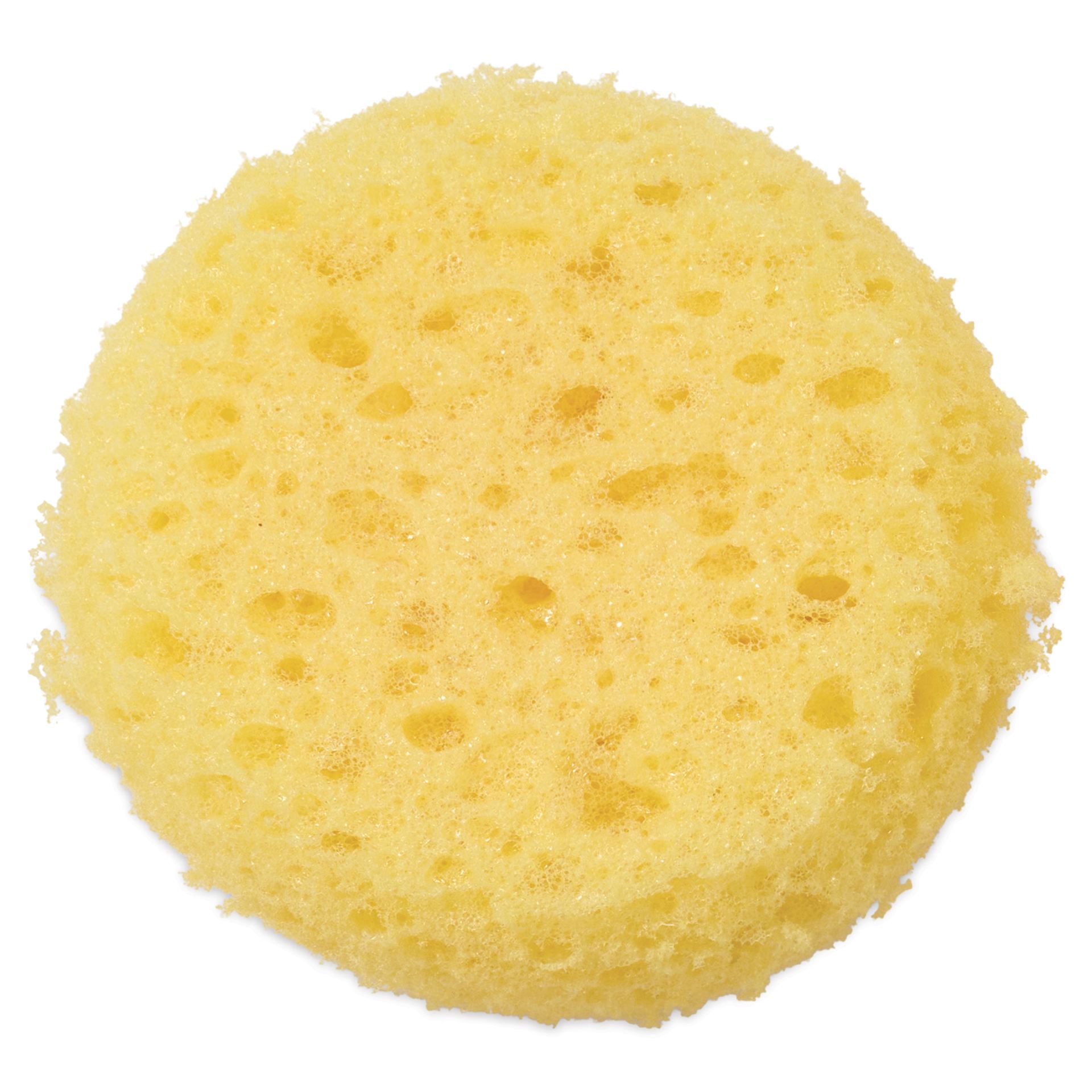 Royal & Langnickel Synthetic Artist Sponge - Medium