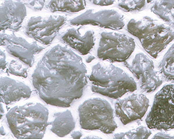 Plastruct Patterned Sheets, Field Stone, 1:100 Scale (finished example)
