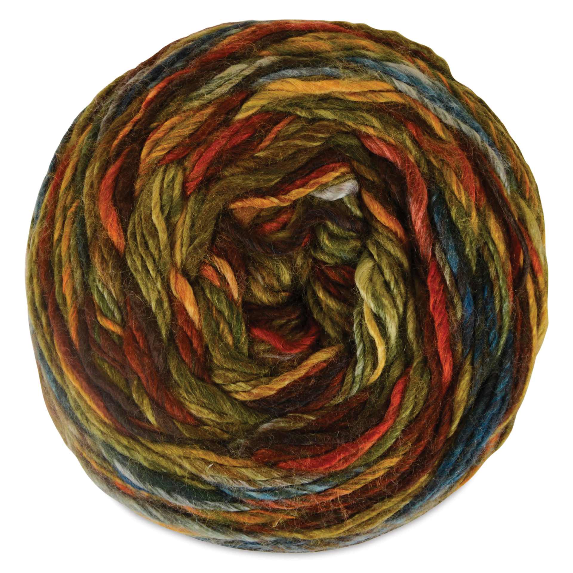 Premier Yarn Spun Colors Yarn - Woodland, from above