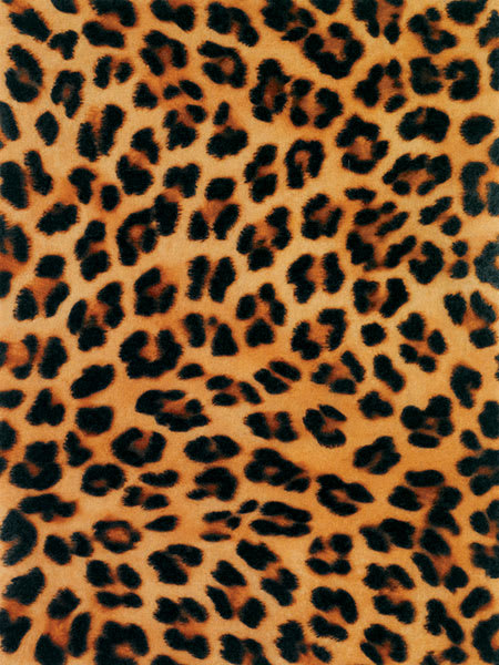 Printed Acrylic Felt