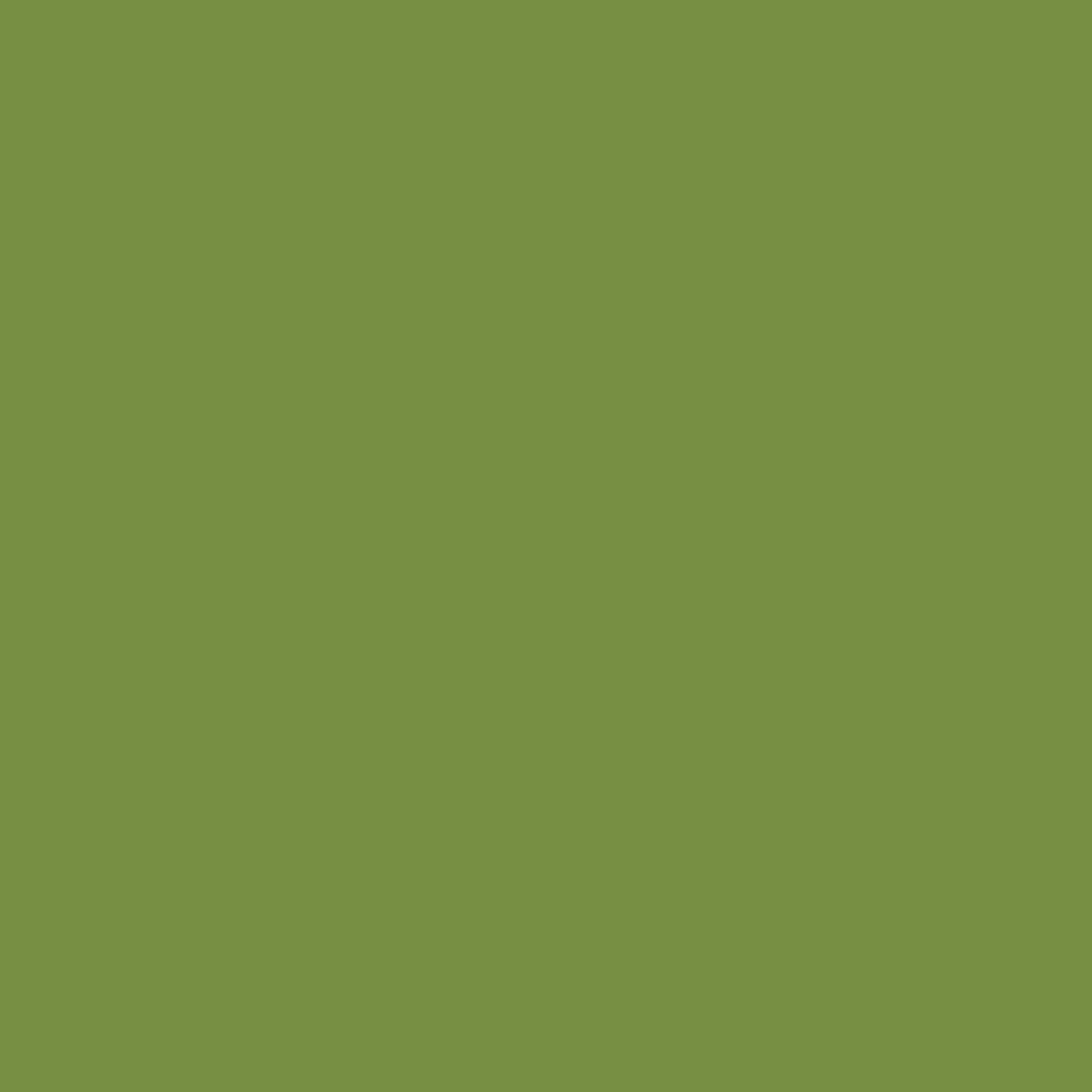 Acrylic Leather Paint Avocado