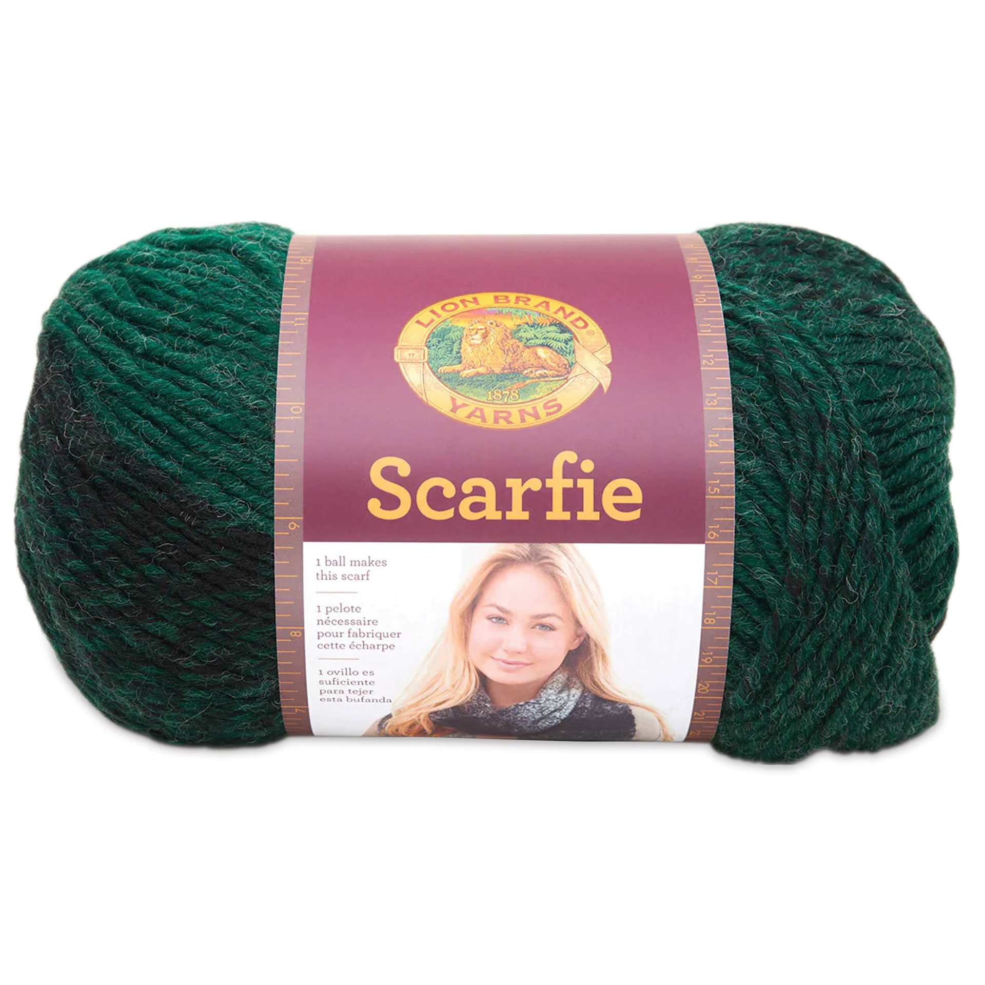 Lion Brand Scarfie Yarn - Black/Forest, 312 yds