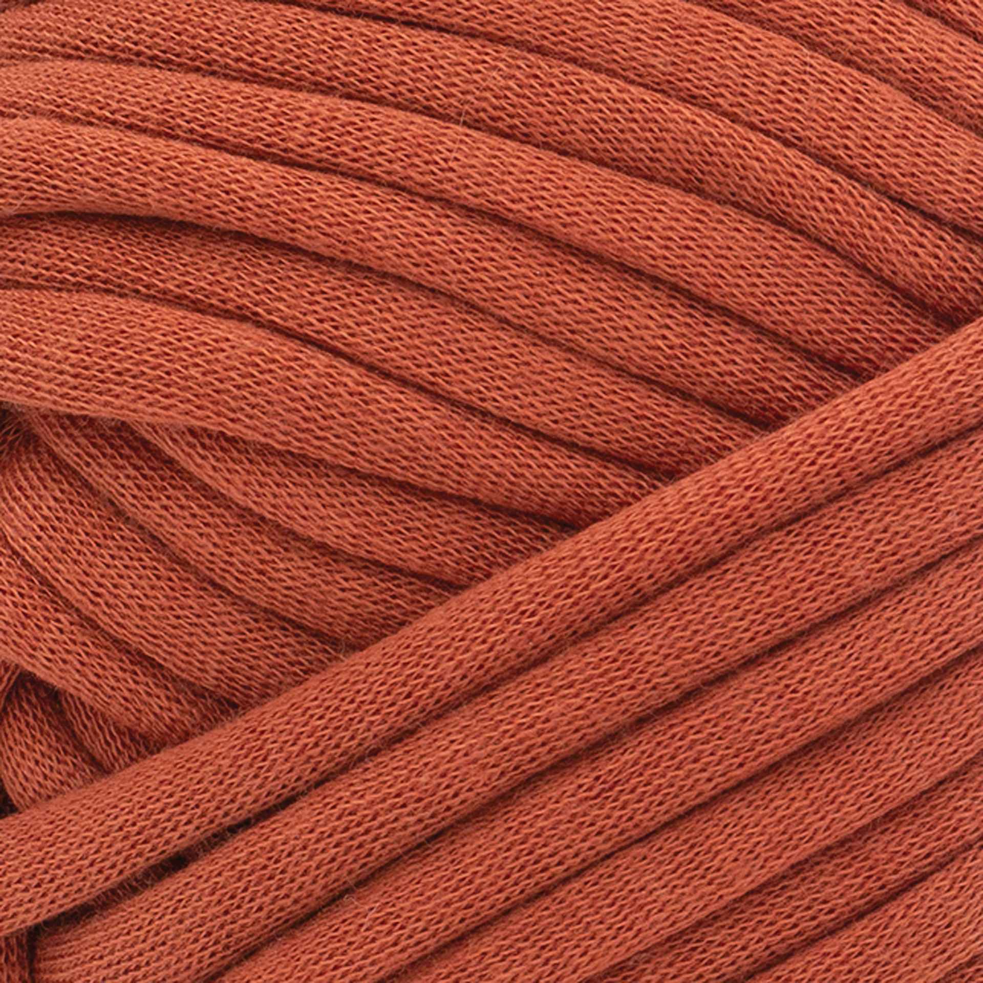 Lion Brand Cover Story Lazy Days Thick & Quick Yarn - Pumpkin, 125 yards close-up