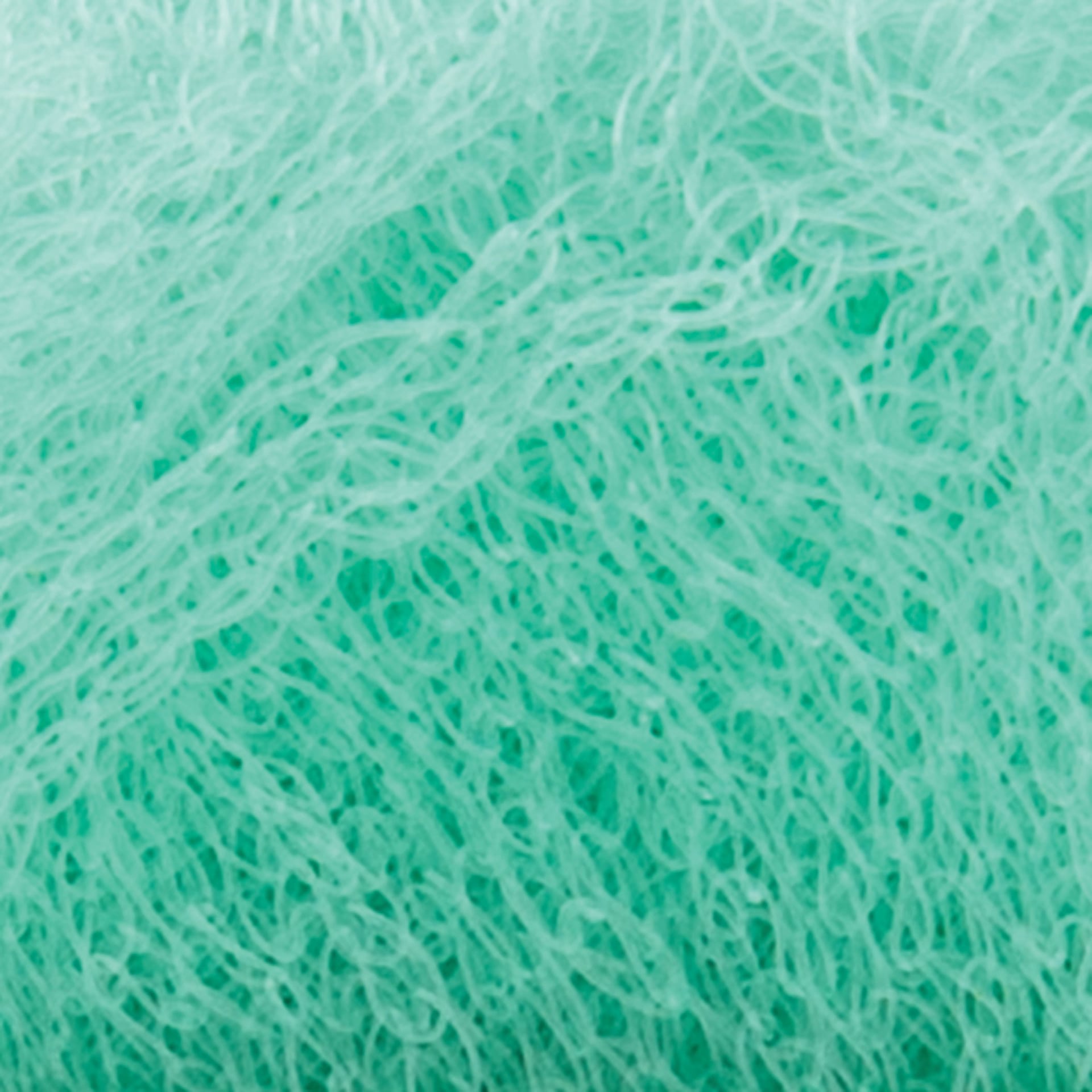 Lion Brand Stitch Soak Scrub Yarn - Cabbage, 92 yds close-up