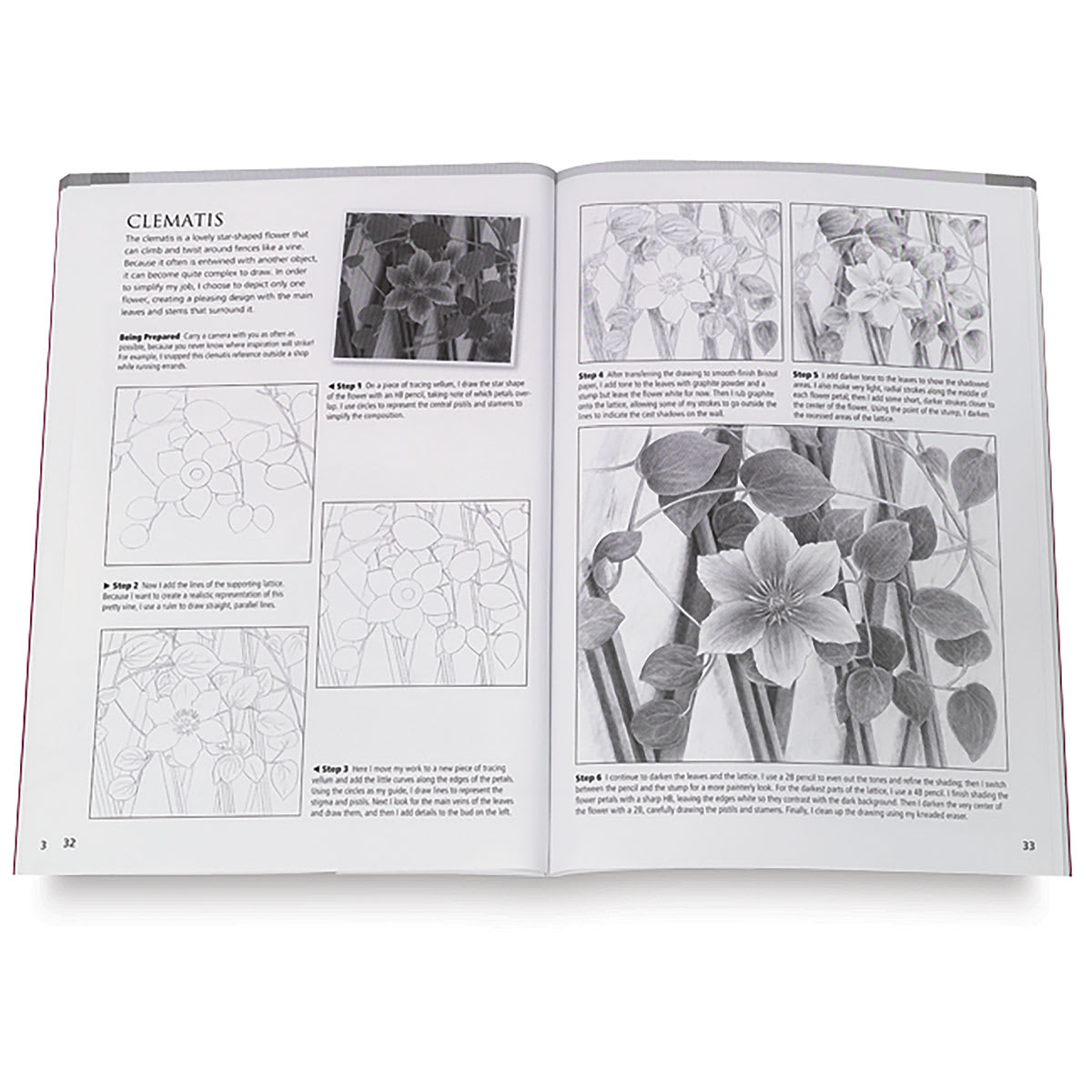 Drawing Made Easy: Flowers and Botanicals