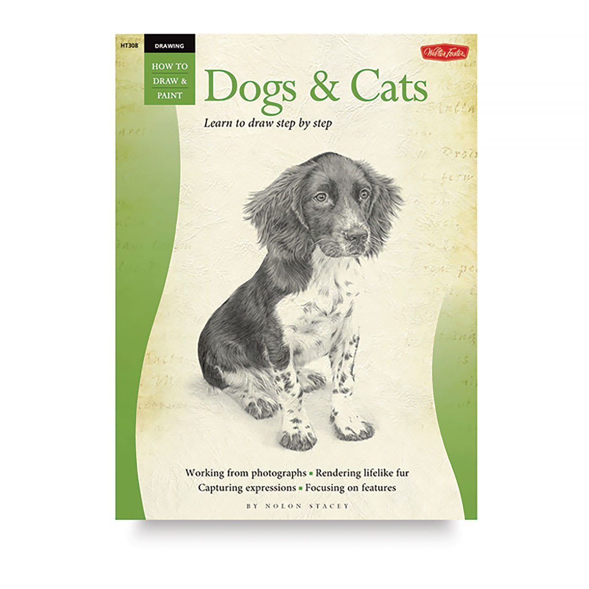 Drawing: Dogs & Cats