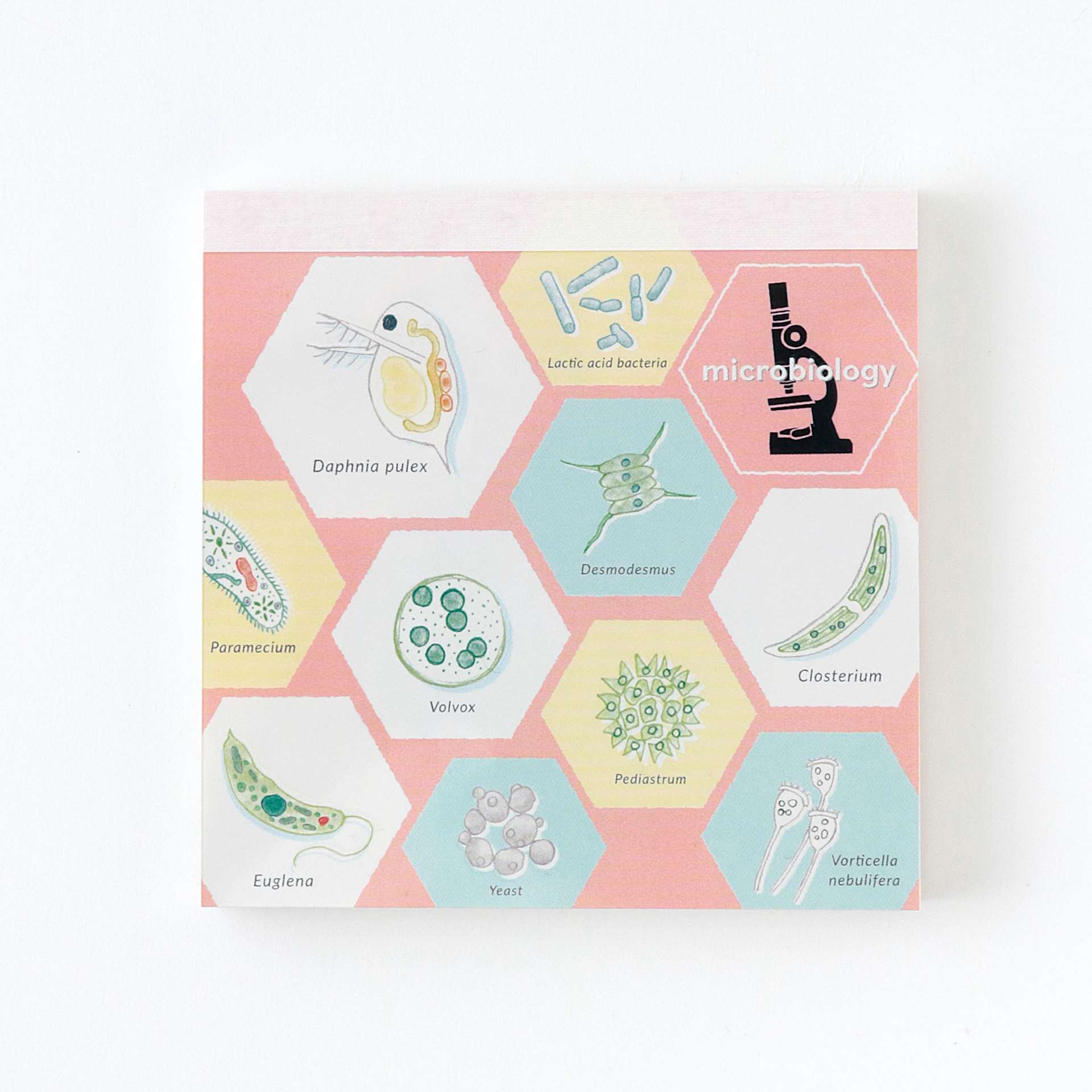 Green Flash Study Holic Square Memo Pad, Microbiology