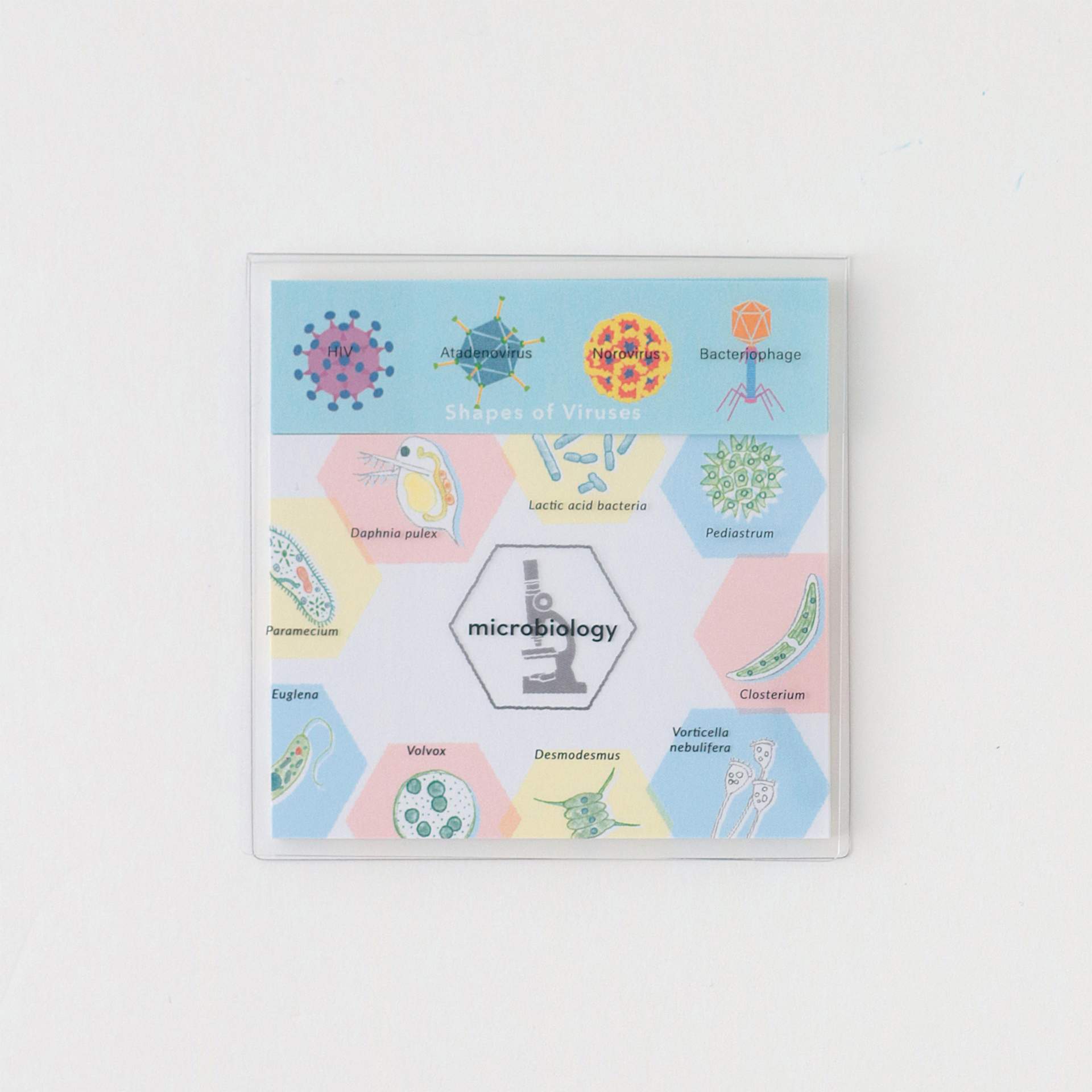Green Flash Study Holic Sticky Notes, Microbiology