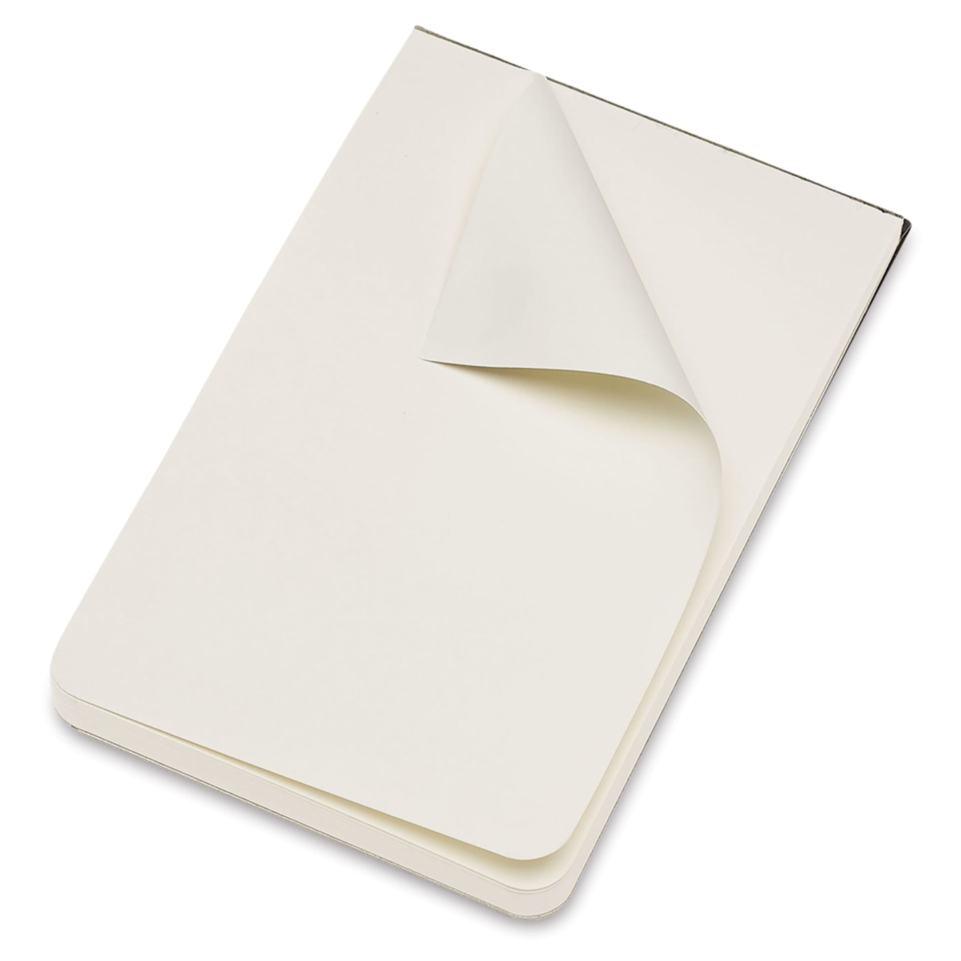 Moleskine Art Collection Sketch Pad - 3-1/2" x 5-1/2", Black