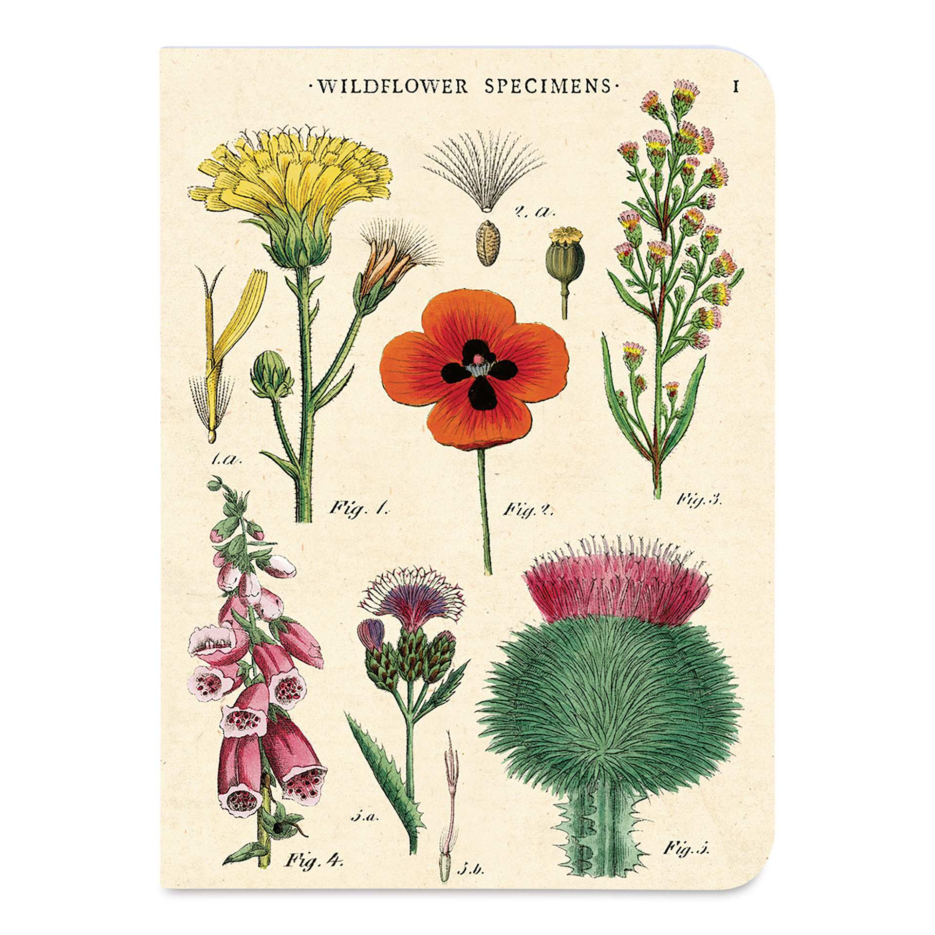 Cavallini Wildflowers Mini Notebook cover