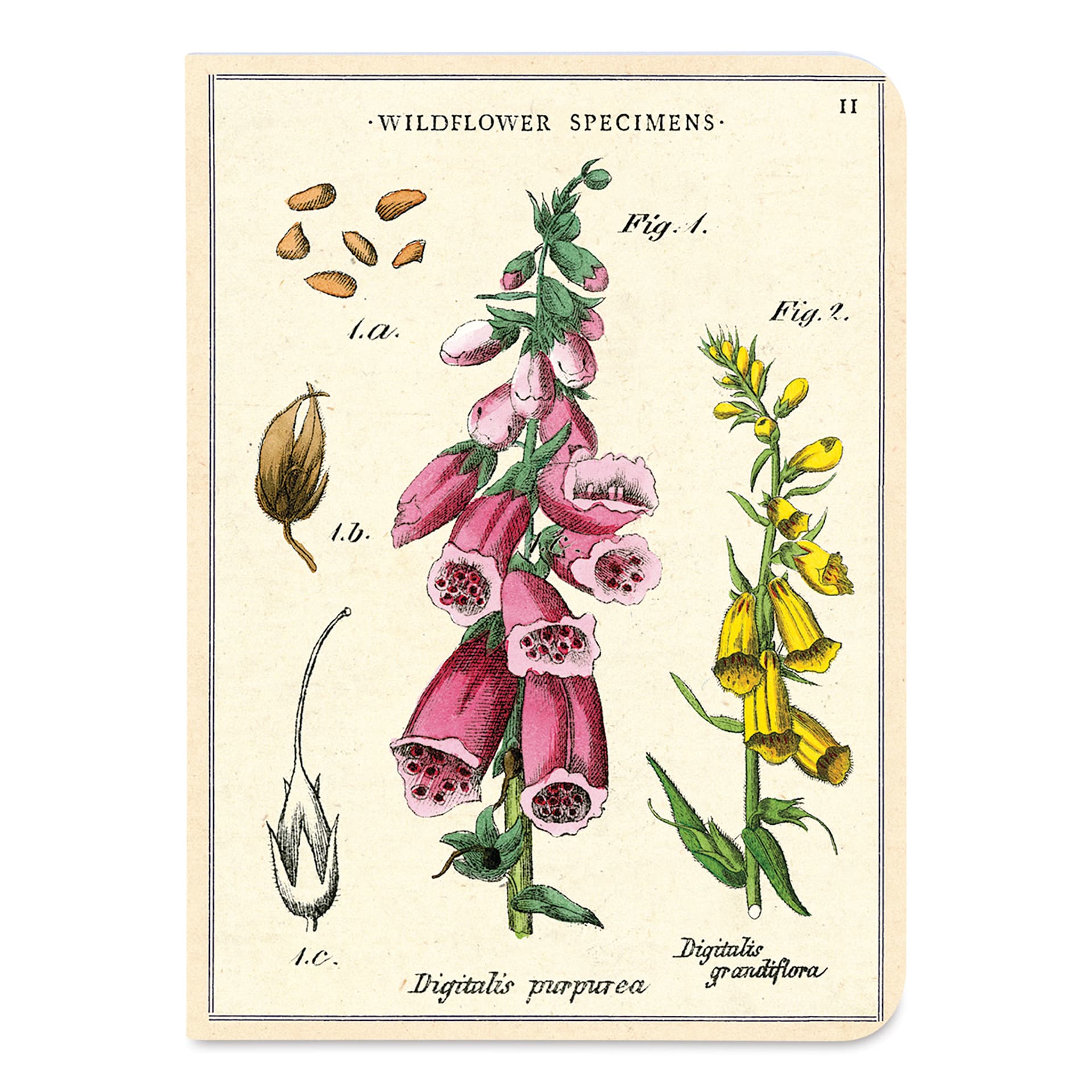 Cavallini Wildflowers Mini Notebook