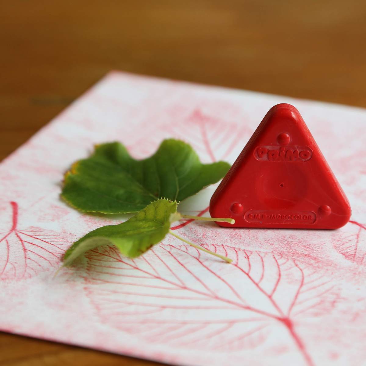 Wax Triangle Crayon Set 12-Color Set