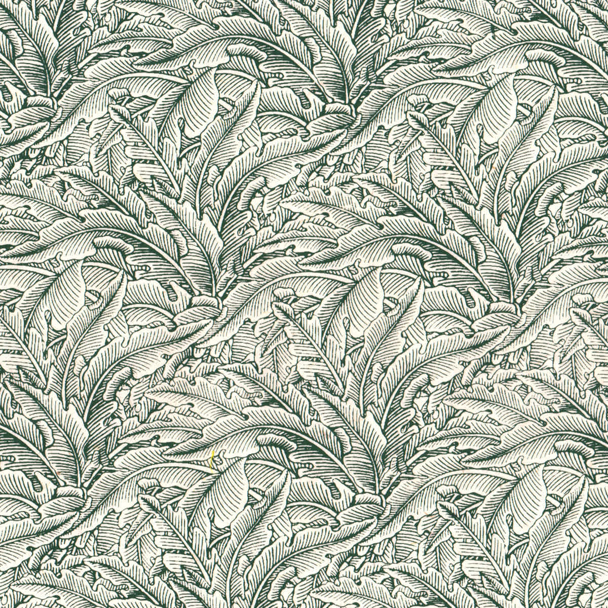 LAMALI Decorative Lokta Paper, 20 in x 30 in, Greenery Small, White, Lichen Silkscreen