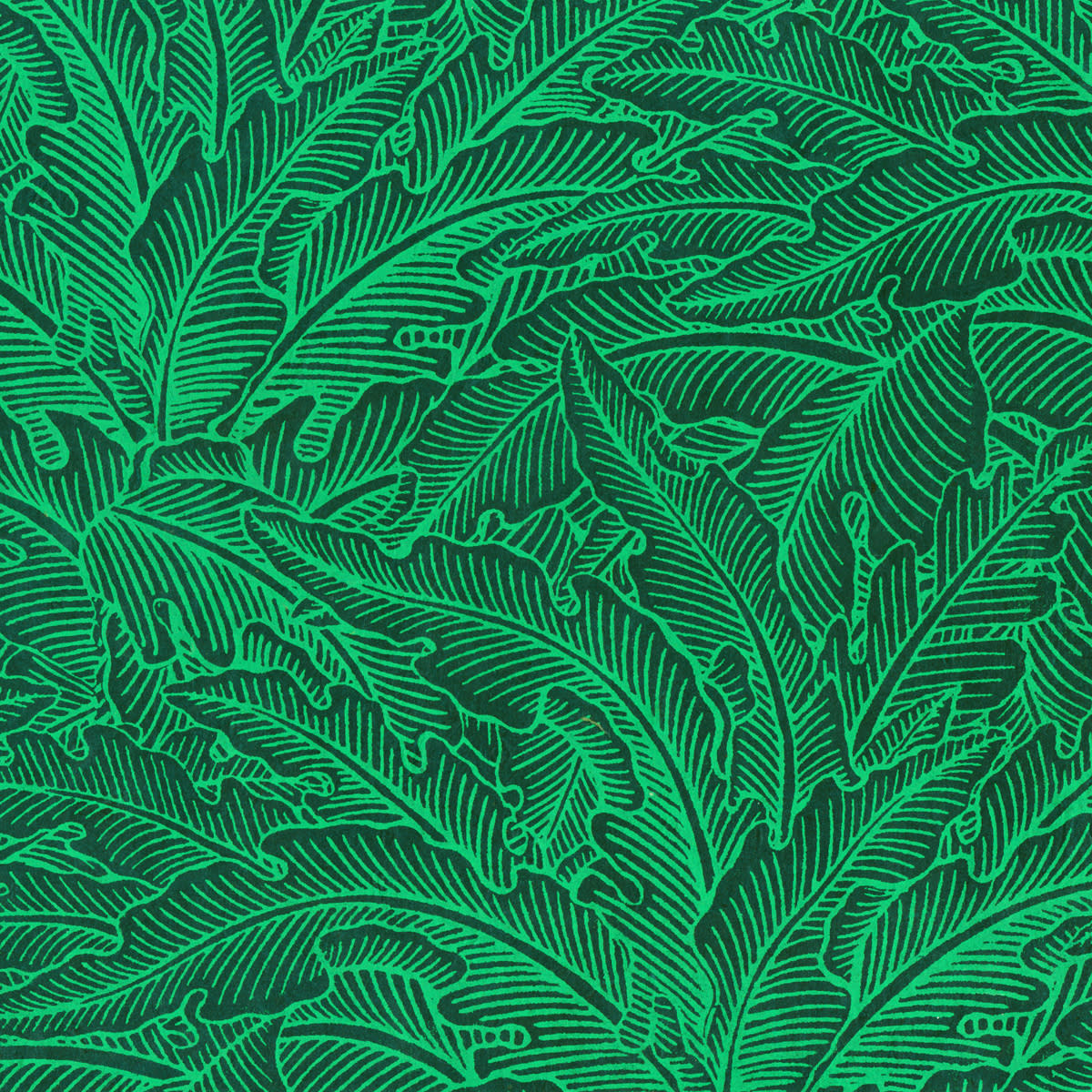 LAMALI Decorative Lokta Paper, 20 in x 30 in, Greenery Medium, Teal, Electric Green Silkscreen