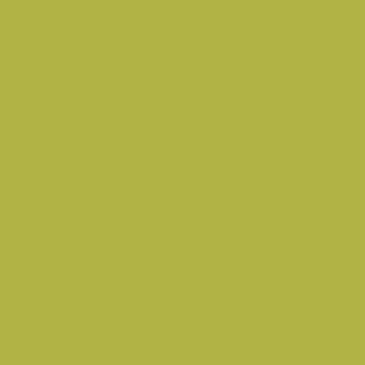 Montana BLACK High-Pressure Cans Spray Color   Canadian Label Pear Green - 400ml Spray Can