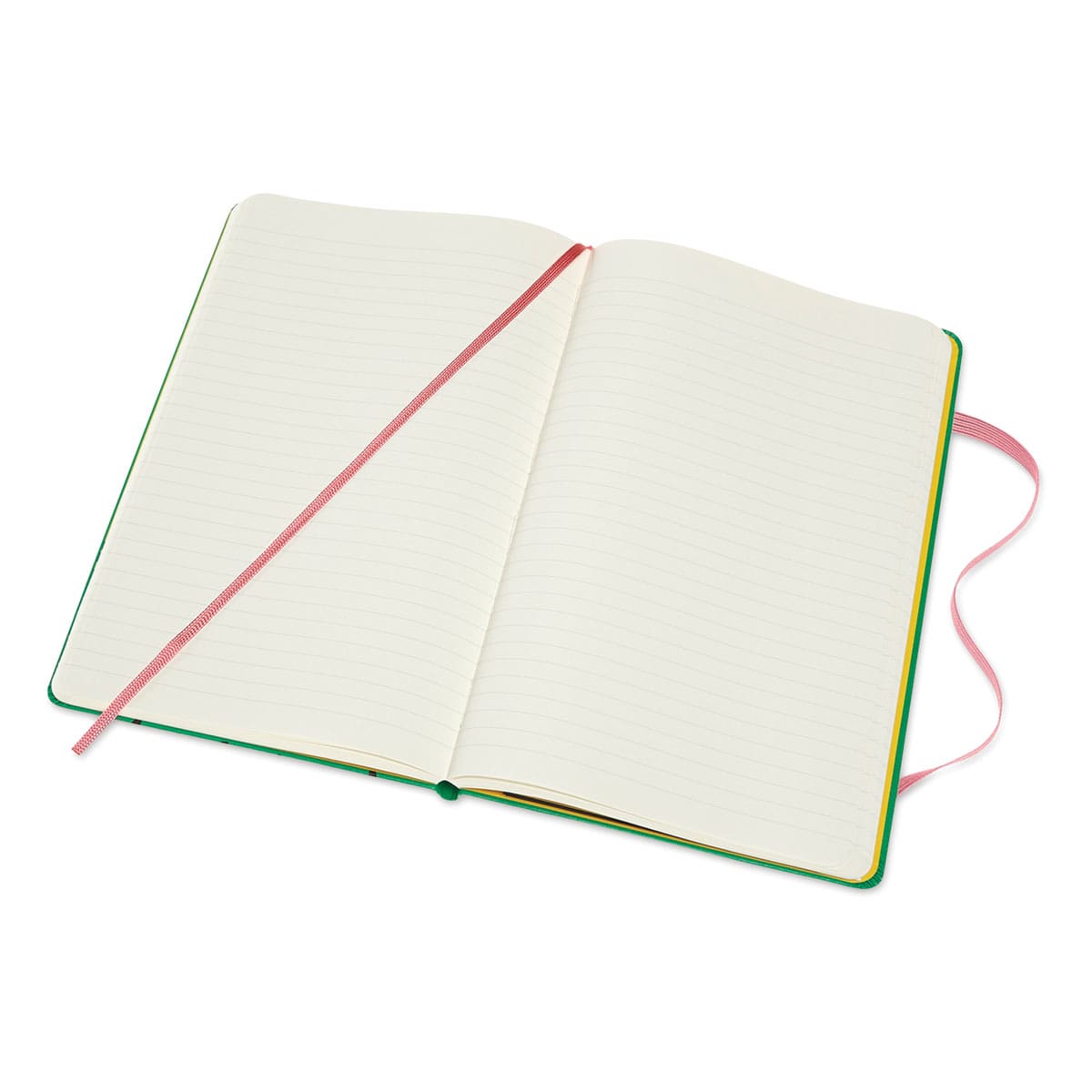 Moleskine Frida Kahlo Limited Edition Ruled Notebook (Opened, blank pages)