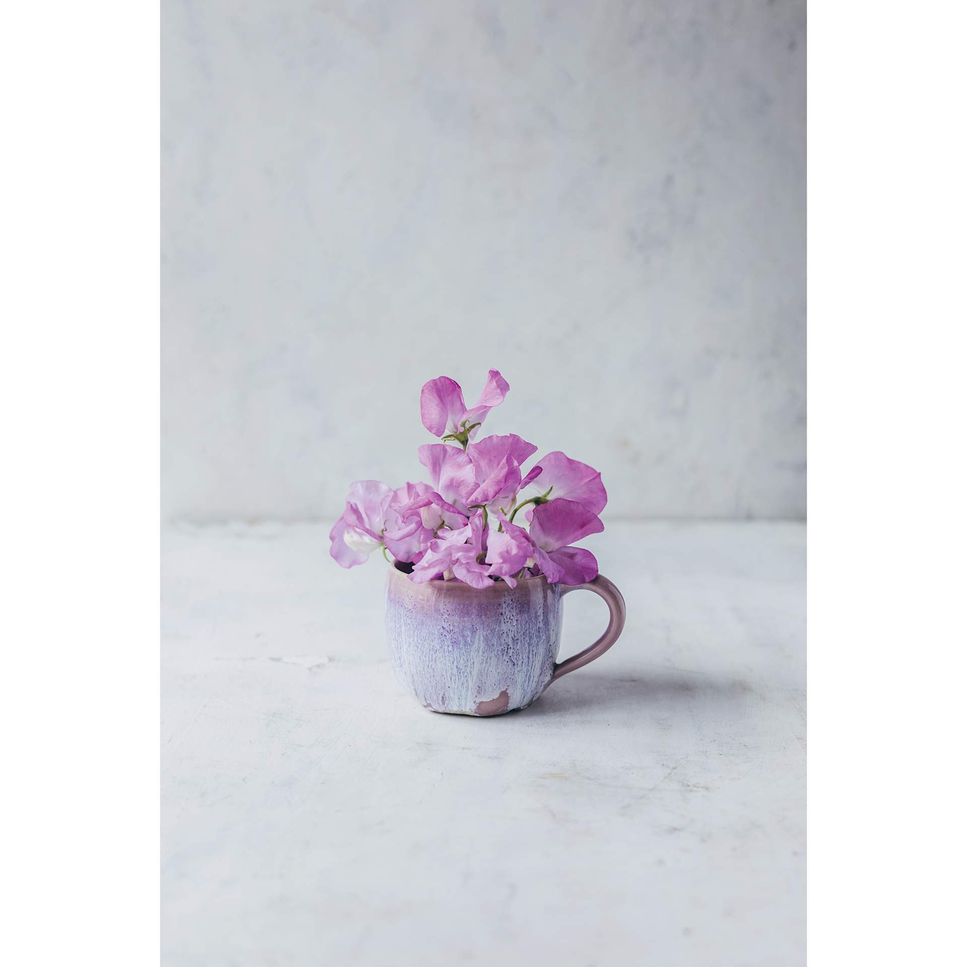 Botz Plus Glaze Enhancer - violet plant in blue and violet finished mug example